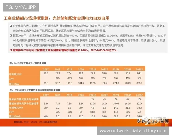 十一选五历届开奖结果分析与走势规律深度解析总结